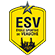 ES Veauche